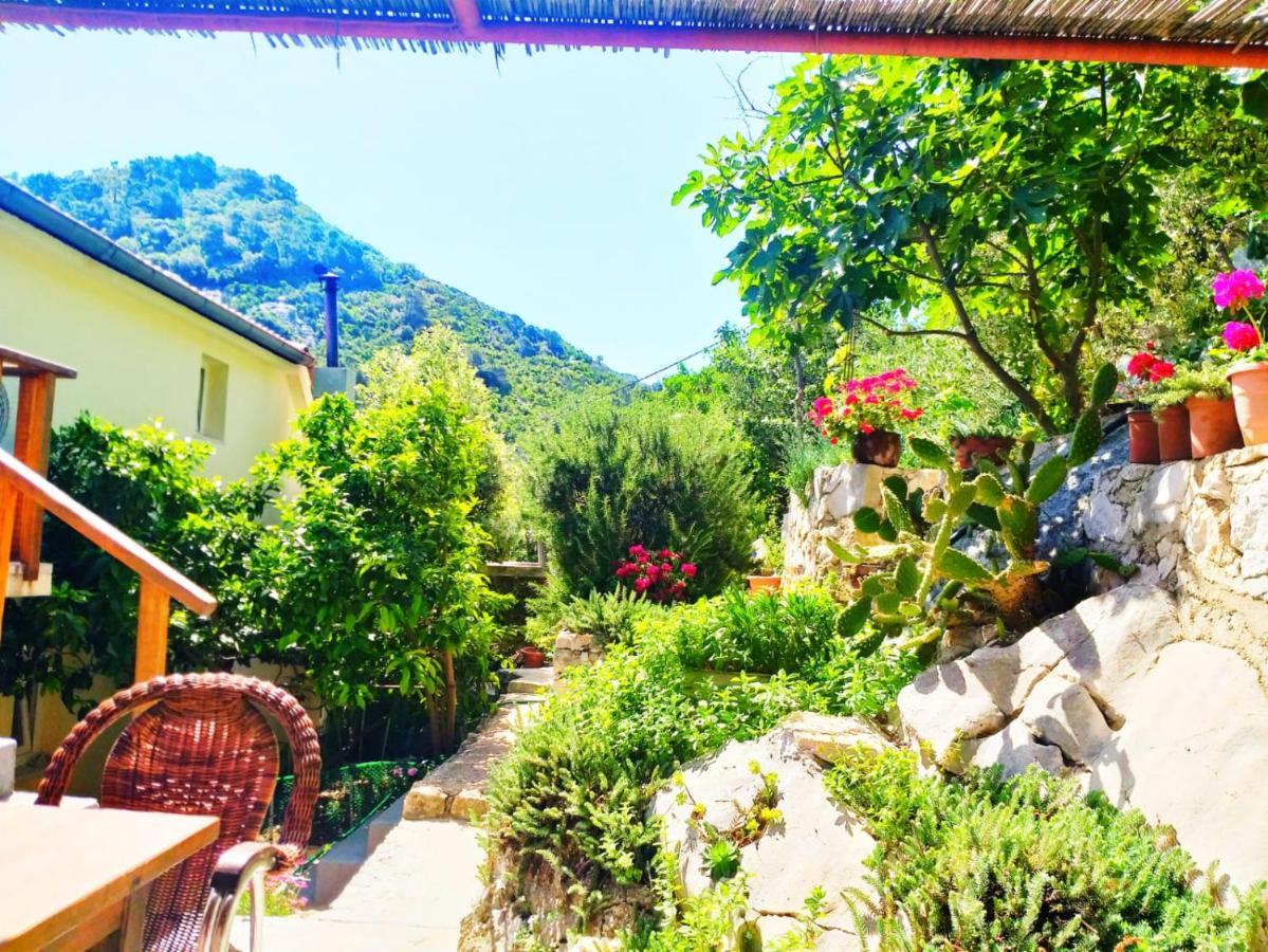 Villa Anita Sobra Exteriör bild